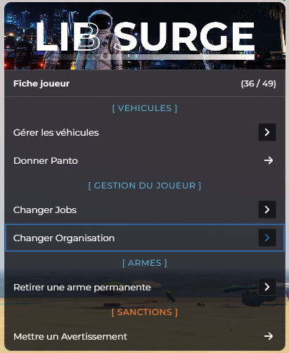 Menu F10 > Fiche joueur : véhicules, job, organisation et armes