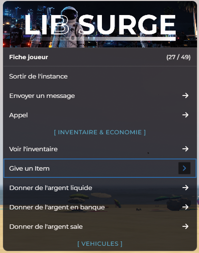 Menu F10 > Fiche joueur : inventaire, give item et argent
