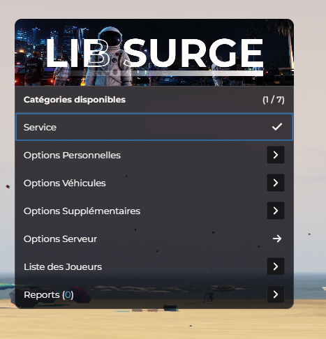 Menu F10 principal en service : Service, Options Personnelles, Véhicules, Supplémentaires, Serveur, Joueurs, Reports