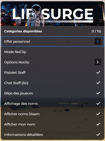 Menu F10 > Options Personnelles : noclip, pistolet staff, chat staff, blips