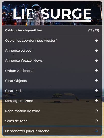 Menu F10 > Options Supplémentaires : message de zone, soins et démenotter