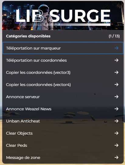Menu F10 > Options Supplémentaires : téléportation, coords, annonces et clear map