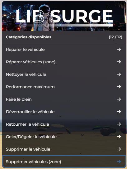 Menu F10 > Options Véhicules : plein, déverrouillage, freeze et suppression