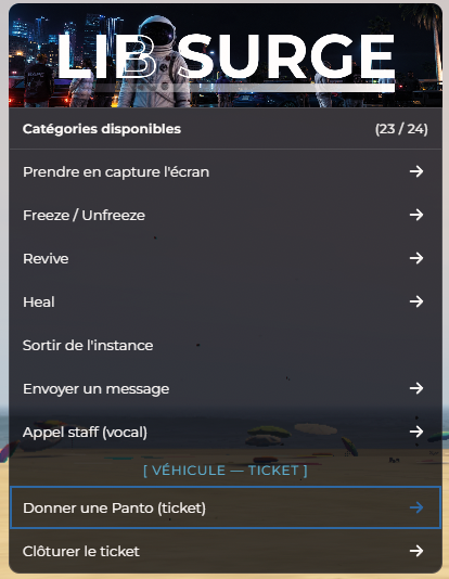 Menu F10 > Reports : véhicule ticket et cléture