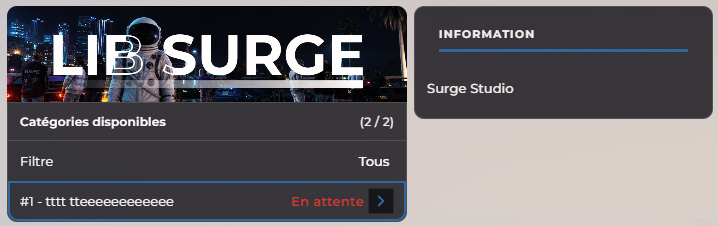 Menu F10 > Reports : liste des tickets et filtre par statut